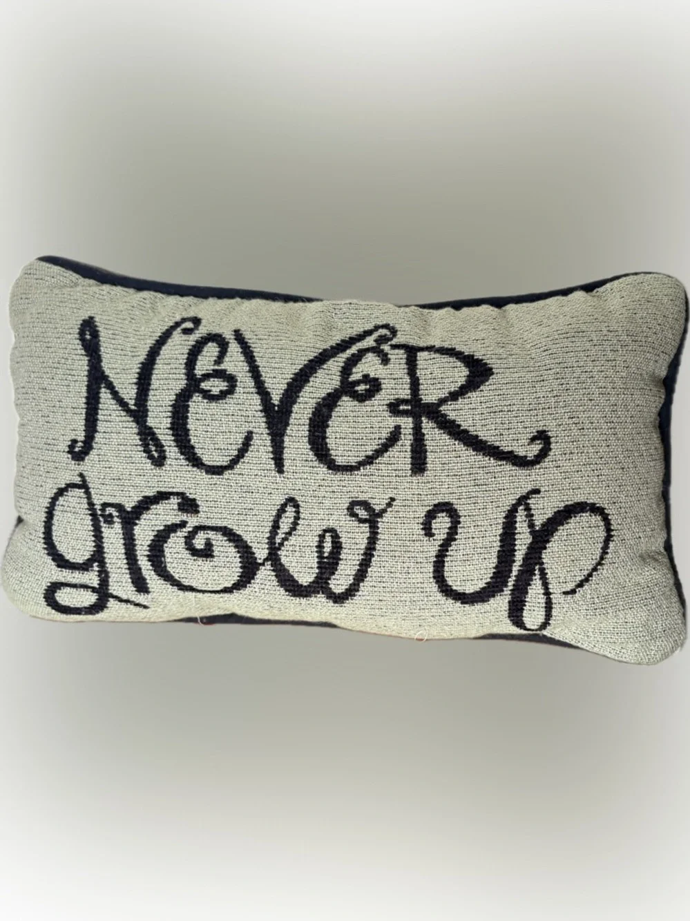 Disney Throw Pillow “ Never Grow Up”